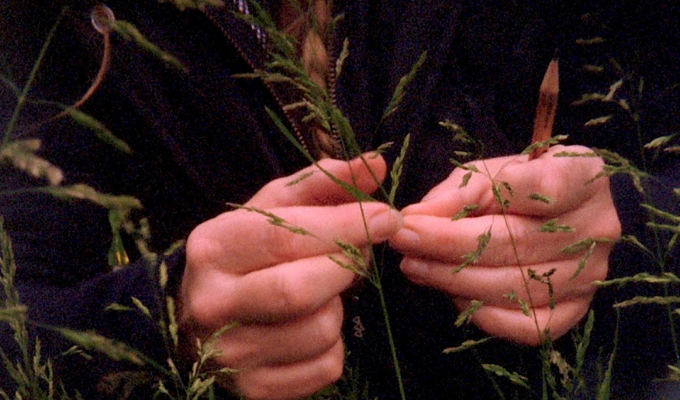 A close-up of two hands holding greenery and a pencil. Their black coat covers the background